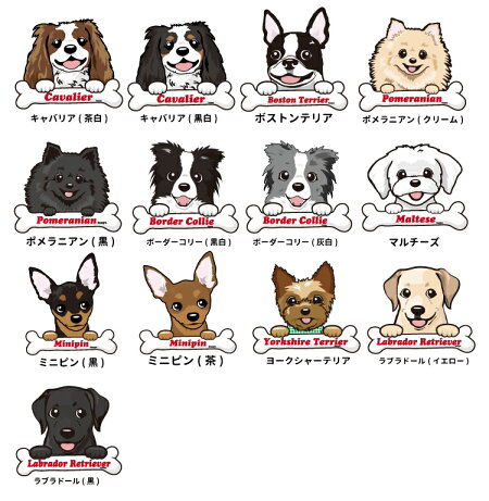 楽天市場 名前入れ 子供 Tシャツ 半袖 ハッピーデザイン オリジナル 各種 犬屋 ブランド Kids Boys Girls 父の日 お誕生日 ギフト 犬屋楽天市場店
