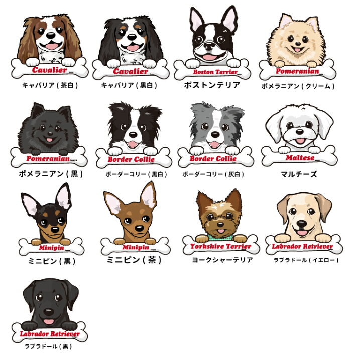 楽天市場 名前入れ オリジナル 缶バッジ ボーンチャーム ハッピー 犬屋 犬 柄 雑貨 グッズ お誕生日 ギフト オリジナル プレゼント イラスト コーギー 柴犬 ポメラニアン チワワ シュナウザー ゴールデン パグ 可愛い イラスト オリジナル お祝い 犬屋楽天市場店