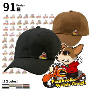 Xq Y fB[X Rbg Lbv jp 傢 fUC (CAB 9670j ObY Č R[M[ ViEU[ t`uhbO pO v[h |jA S[fg[