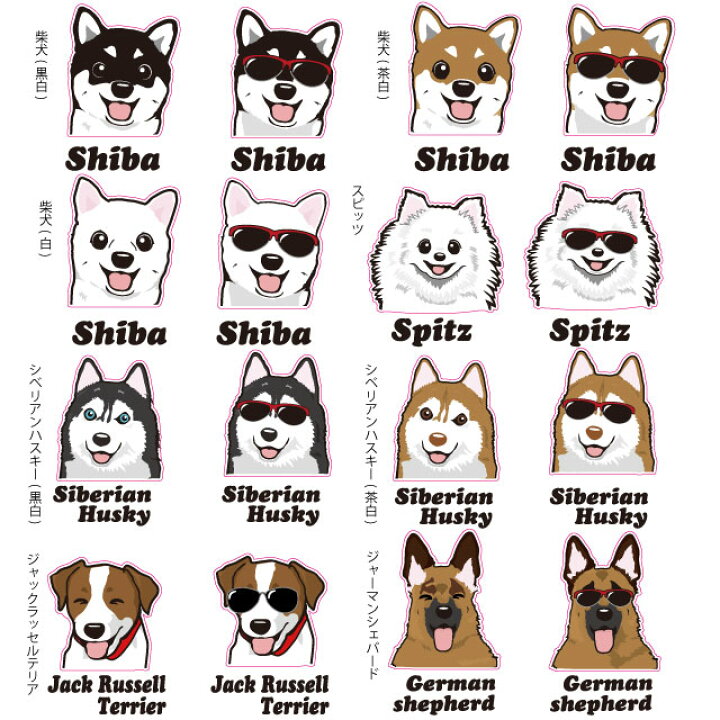 楽天市場 ステッカー 在住 犬アップ ハッピー グラサン 犬 犬屋 いぬや 他県 車 ナンバー ４７都道府県 オリジナル 地元 防犯 主張 可愛い 対策 柴犬 コーギー チワワ プードル ダックス シュナウザー ラブ ゴールデン バーニーズ コリー