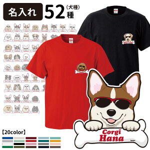  TVc {[`[ i G ObY CAB5001 I[i[ IWi Y fB[Xj