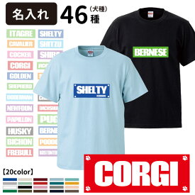 【名入れ Tシャツ 半袖 ボックスロゴ デザイン】 犬屋 オリジナル CAB5001】