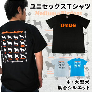 TVc VGbg Midium Big dogs i G ObY CAB5001  IWi Y fB[X I[i[pj