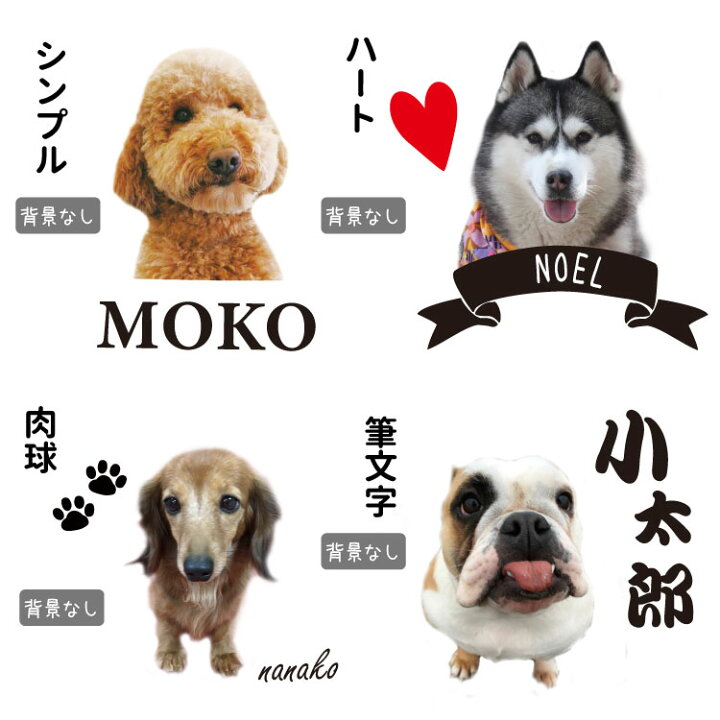楽天市場 愛犬 写真 名前入れ ポーチ セット 犬屋 ブランド メンズ レディース コットン お誕生日 ギフト プレゼント メモリアル 愛猫 ペット 小動物 思い出 記念 グッズ オリジナル うちのこ オリジナル 犬屋 お祝い ホワイトデー バレンタインデー オリジナル