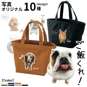  ʐ^ IWi UobO g[gobO STCY (CAB1543 G ObY O LoX   a v[g A L ybg  vo LO IWi 