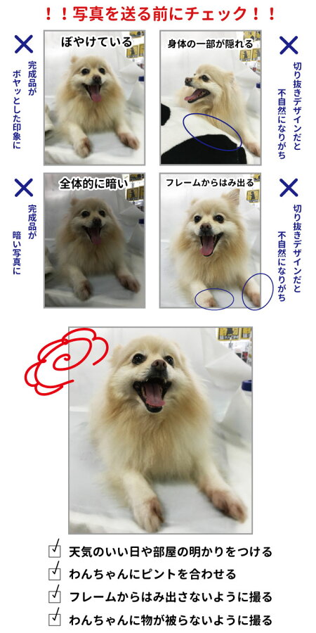 楽天市場 愛犬 写真 名前入れ 肩ひも付き 新トートバッグ sサイズ オリジナル 犬屋 いぬや キャンバス 犬 柄 雑貨 グッズ お散歩バッグ お誕生日 ギフト プレゼント 思い出 メモリアル 記念 愛猫 ペット 動物 子供 友達 カップル うちのこ お祝い 敬老の日 楽天市場 愛犬 写真 名前入れ 肩ひも付き 新トートバッグ sサイズ オリジナル 犬屋 いぬや キャンバス 犬 柄 雑貨 グッズ お散歩バッグ お誕生日 ギフト プレゼント 思い出 メモリアル 記念 愛猫 ペット 動物 子供 友達 カップル うちのこ お祝い 敬老の日