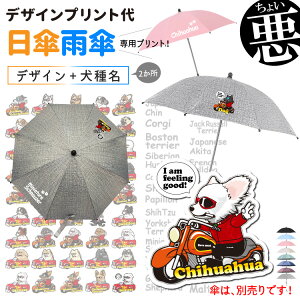 P JP p yfUCvgz 傢 fUC ^ ^ ^ fUC ybgoM[ xr[J[ ܂肽 ֎qP t  ObYi` ViEU[ t