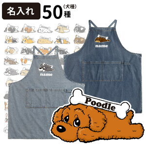 y  I[i[ fjGv  z G ObY O Y fB[X [EFA v[g ^ ^  uh Lb` 䏊 JXj IWiY