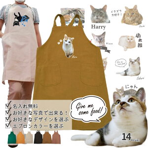 y L ʐ^ I[i[p IWi J[Gv z G ObY  L ˂ lR  O a v[g A ybg