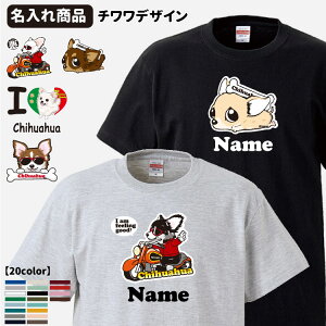 y  z Iׂ  TVc ` i G ObY CAB5001  IWi Y fB[X I[i[p OR[g` X[X`j