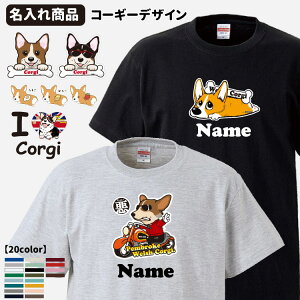 y  z Iׂ  TVc R[M[ i G ObY CAB5001 Y fB[X IWi EFVR[M[ yu[Nj