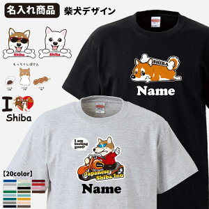y  z Iׂ  TVc Č i G ObY CAB5001  IWi Y fB[X I[i[p  āj