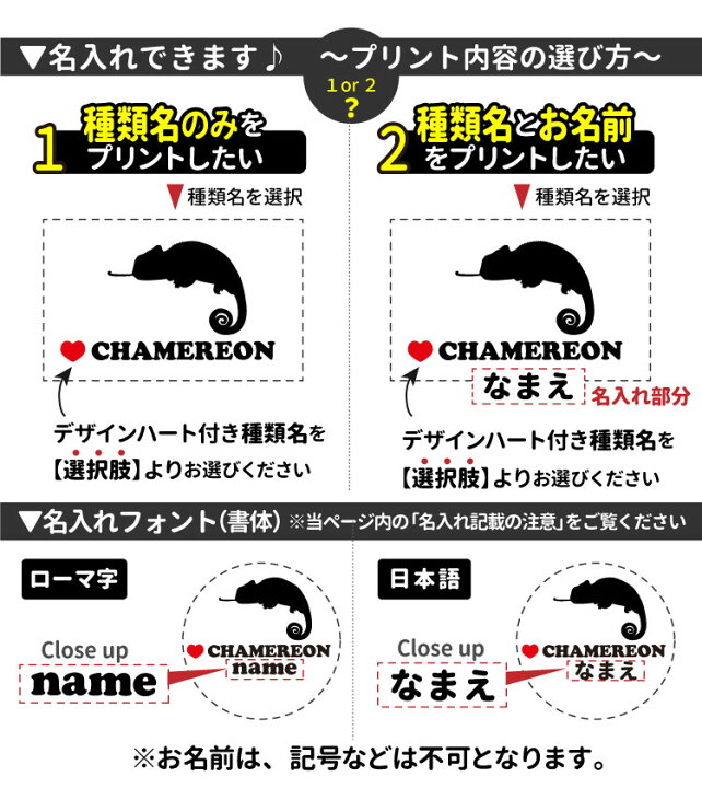 楽天市場 名前入れ Tシャツ 半袖 アザーズシルエット デザイン 犬屋 ブランド メンズ レディース 昆虫 虫 爬虫類 両生類 カブトムシ クワガタ ヘラクレス レオパ ヒョウモントカゲモドキ カメレオン カメ ヘビ クモ カエル アニマル 動物 ペット ギフト お誕生日