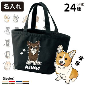  |[g UobO g[gobO STCY (CAB1543 G ObY O  LoX   Mtg v[g CXg O[gsj[Y R[M[ S[fgo