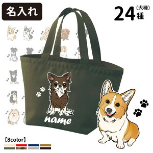  |[g UobO g[gobO STCY (CAB1543 G ObY O  LoX   Mtg v[g CXg O[gsj[Y R[M[ S[fgo