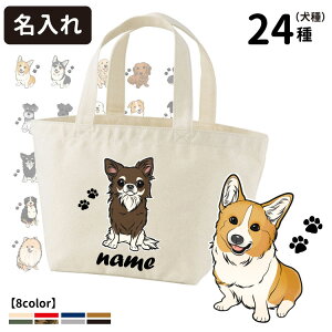  |[g UobO g[gobO STCY (CAB1543 G ObY O  LoX   Mtg v[g CXg O[gsj[Y R[M[ S[fgo