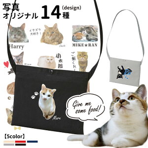 y L ʐ^  IWi TRbV CAB1461 z G ObY IWi obO Y fB[X TRbVobO iC h oR V_[obO y