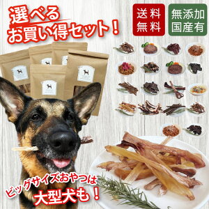 y N[ Y Y  Iׂ  Zbg z _`E  ڈΎ VJ t[h  ybg hbOt[h K f^PA d J[ VjA Mtg     