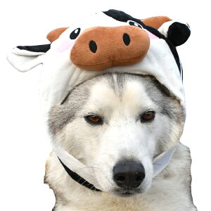 柴犬 コスプレ 犬用品の人気商品 通販 価格比較 価格 Com 柴犬 コスプレ 犬用品の人気商品 通販 価格比較 価格 Com