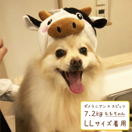 楽天市場 牛 帽子 4lサイズ 中型犬 大型犬用 キャップ かぶりもの コスプレ うし ウシ グッズ 赤ちゃん 犬屋 柴犬 フレンチブルドッグ フレブル コーギー ラブラドルレトリバー ゴールデンレトリバーなど かぶり帽 犬屋楽天市場店