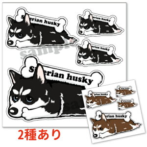 y VxAnXL[ V[ XebJ[ uJ[v  fUC G ObY z  ^ IWi  oCN X[cP[X   B Ȃǂ    IWi