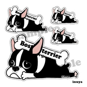 y {XgeA V[ XebJ[ uJ[v  fUC G ObY z  ^ IWi  oCN X[cP[X   B Ȃǂ    IWi X