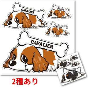 y LoA V[ XebJ[ uJ[v  fUC G ObY z  ^ IWi  oCN X[cP[X   B Ȃǂ    IWi Xeb