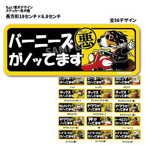 y 傢 ` XebJ[ z G ObY e iČ R[M[ ViEU[ t`uhbO pO v[h |jA S[fg[o[ _bNX Ȃǁj