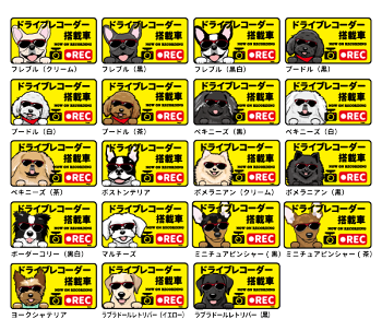 楽天市場 ドライブレコーダー マグネット グラサン各種 長方形 15ｃｍ シート 犬屋 オリジナル 犬 ドッグ ドラレコ 犬屋楽天市場店