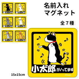 【 名前入れ マグネット 猫が乗っています 正方形 15cm 】 雑貨 グッズ 正方形 シート オリジナル ねこ ネコ （黒猫 灰猫 白猫 ハチワレ 灰トラ 茶トラ 三毛猫）