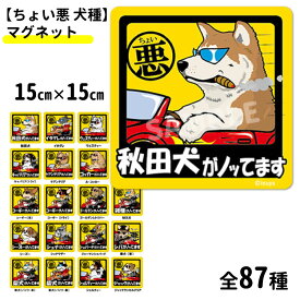 【ちょい悪犬 正方形 マグネット15cm】 各種 いぬや オリジナル 雑貨 グッズ ペット 犬 シート 犬屋 車 くるま カーステッカー いぬ 犬柄 ステッカー 柴犬 コーギー ゴールデン ラブラドール シェパード フレブル チワワ プードル ビションフリーゼ