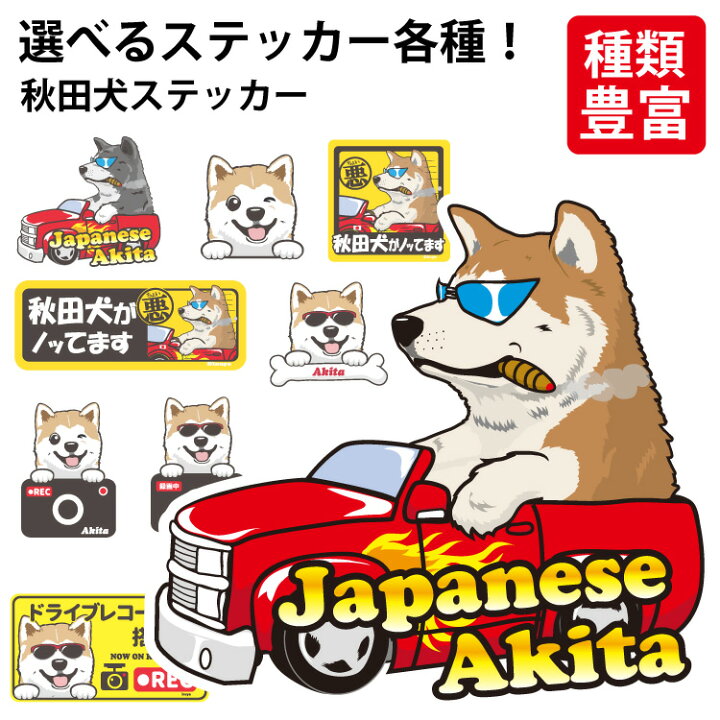 楽天市場 選べる ステッカー 秋田犬 あきた あきたけん オリジナル グッズ 雑貨 ペット 車 カーステッカー 犬屋 いぬや Inuya 可愛い かわいい かっこいい カッコイイ ゆるい 面白 イラスト キャラ スマホ 窓 ギフト プレゼント いぬ 犬 イヌ