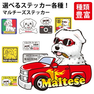 y Iׂ hbO XebJ[ }`[Y e z IWi fUC G ObY  킢  JbRCC CXg L