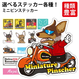 【 選べる ドッグ ステッカー ミニピン 各種 】 デザイン ミニチュアピンシャー 車 バイク かわいい 可愛い かっこいい カッコイイ ゆるい イラスト シール