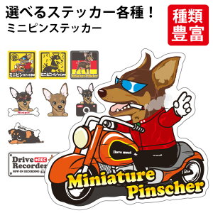 y Iׂ hbO XebJ[ ~js e z IWi fUC G ObY ~j`AsV[  킢  JbRCC 邢 CXg V[