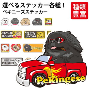 y Iׂ hbO XebJ[ yLj[Y e z IWi fUC G ObY  킢  JbRCC 邢 ʔ CXg