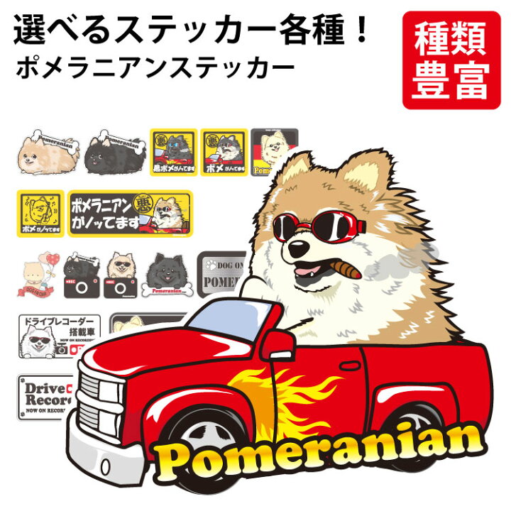 楽天市場】【 選べる ドッグ ステッカー ポメラニアン 各種 