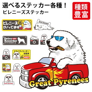 y Iׂ hbO XebJ[ O[g sj[Y e z IWi fUC G ObY  킢  JbRCC 邢 ʔ CXg