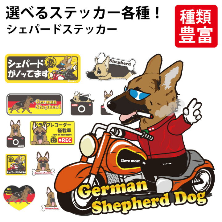 楽天市場 選べる ステッカー シェパード ジャーマンシェパード オリジナル グッズ 雑貨 ペット 車 カーステッカー 犬屋 いぬや Inuya 可愛い かわいい かっこいい カッコイイ ゆるい 面白 イラスト キャラ スマホ 窓 ギフト プレゼント いぬ 犬 イヌ 犬屋楽天市場店