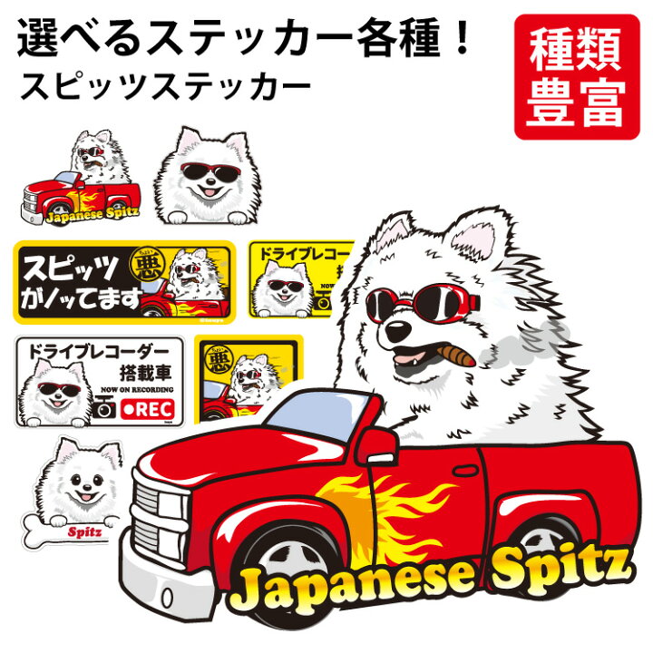 楽天市場 選べる ステッカー スピッツ 日本スピッツ オリジナル グッズ 雑貨 ペット 車 カーステッカー 犬屋 いぬや Inuya 可愛い かわいい かっこいい カッコイイ ゆるい 面白 イラスト キャラ スマホ 窓 ギフト プレゼント いぬ 犬 イヌ 犬屋楽天市場店