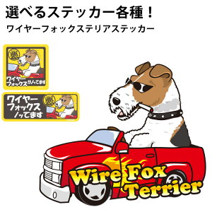 y Iׂ hbO XebJ[ C[tHbNXeA e z IWi fUC G ObY  L 킢 JbRCC  