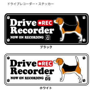 r[O fUC G ObY (p) hR VGbg XebJ[ Zbg 12 ^  hCuR[_[ V[   oCN X[cP[X   B Ȃǂ  