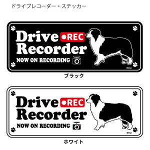 {[_[R[ (p) hR VGbg XebJ[ Zbg 12 G ObY ^  hCuR[_[ V[   oCN X[cP[X   B Ȃǂ   
