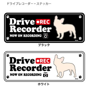 t`uhbO (p) hR VGbg XebJ[ Zbg 12 G ObY ^  hCuR[_[ V[   oCN X[cP[X   B Ȃǂ 