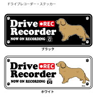ゴールデンレトリバー (英語) ドラレコ シルエット ステッカー セット 大1枚小2枚 雑貨 グッズ 大型犬 犬…