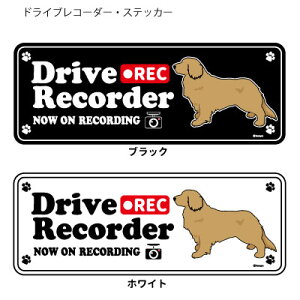 S[fgo[ (p) hR VGbg XebJ[ Zbg 12 G ObY ^  hCuR[_[ V[   oCN X[cP[X   B Ȃǂ 