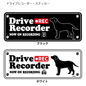 uh[go[ (p) hR VGbg XebJ[ Zbg 12 G ObY ^  hCuR[_[ V[   oCN X[cP[X   B Ȃǂ 