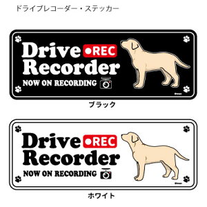 uh[go[ (p) hR VGbg XebJ[ Zbg 12 G ObY ^  hCuR[_[ V[   oCN X[cP[X   B Ȃǂ 