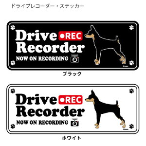 ~j`AsV[ (p) hR VGbg XebJ[ Zbg 12 G ObY G ObY ^  hCuR[_[ V[   oCN X[cP[X   B 