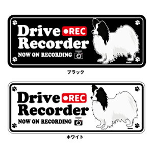 ps (p) hR VGbg XebJ[ Zbg 12 G ObY ^ hCuR[_[ V[   oCN X[cP[X   B Ȃǂ    I